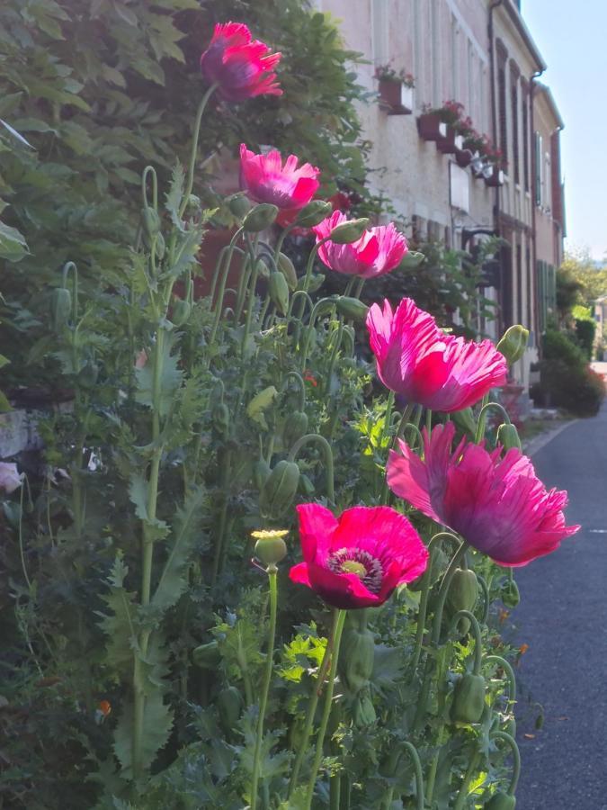 Le Petit Nid D'Aigle - Giverny Exterior foto